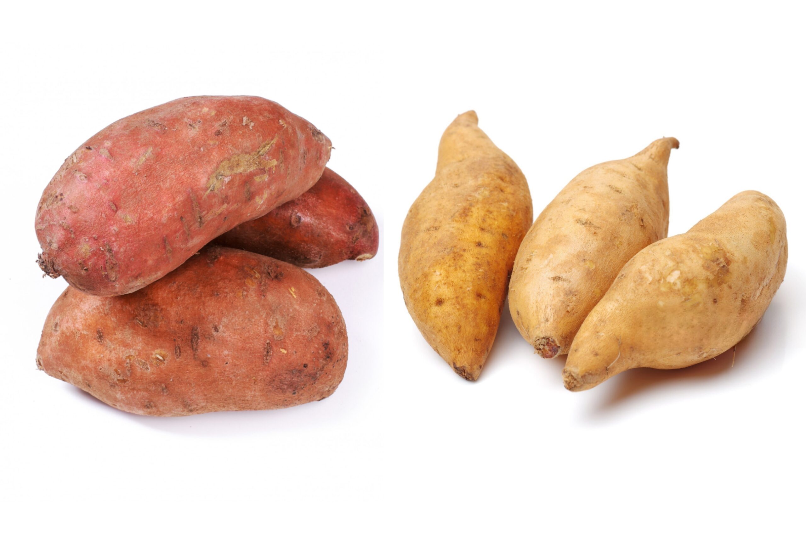 White sweet potato, sweet potato