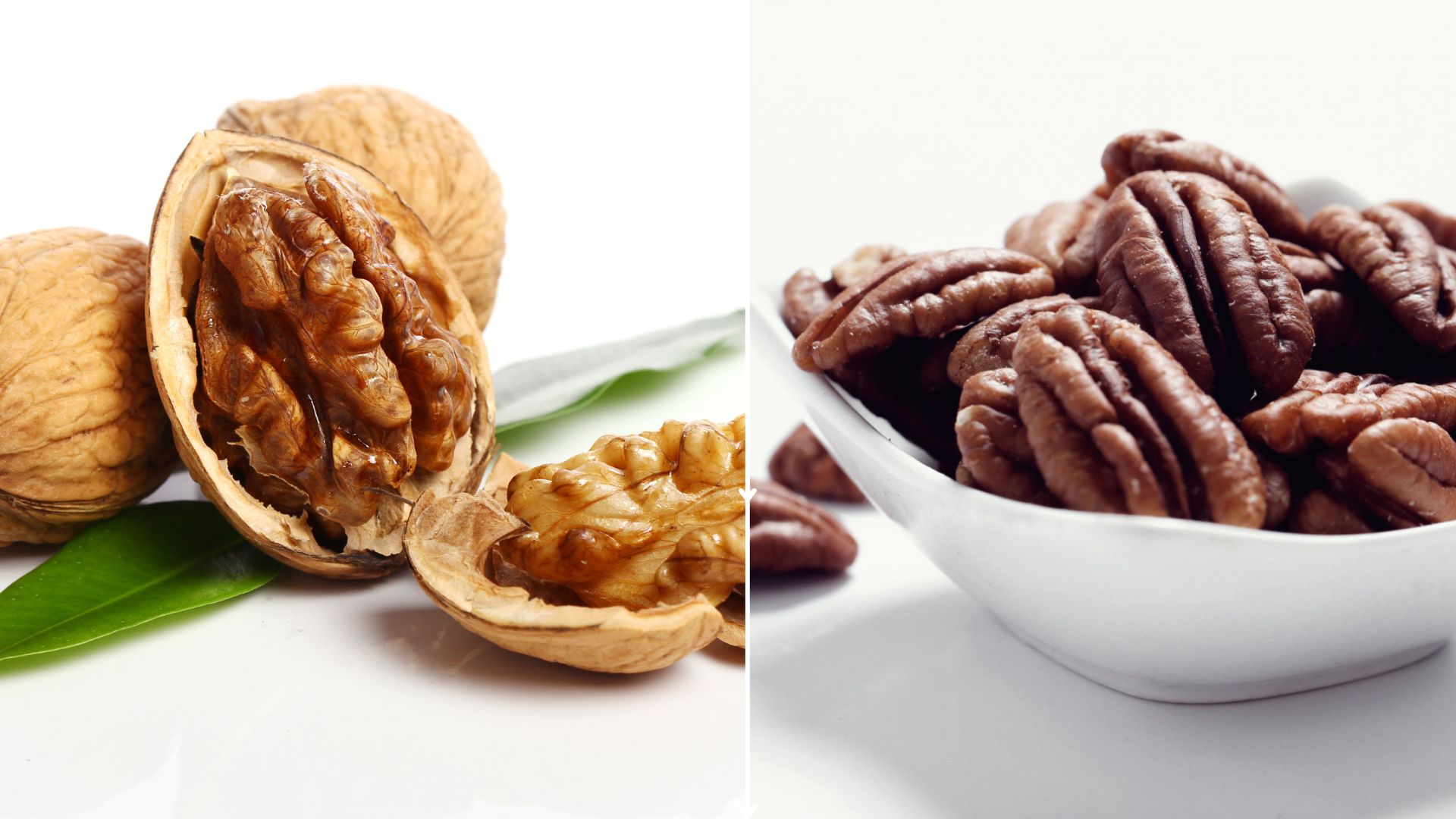 Pecan vs Walnut